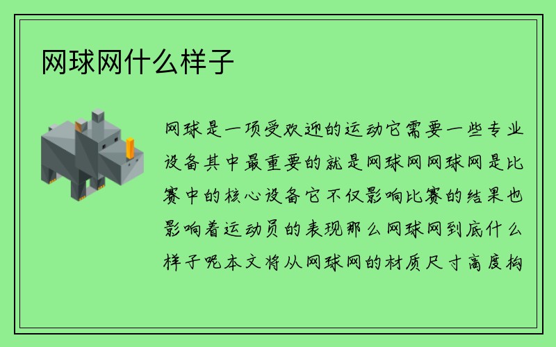 网球网什么样子